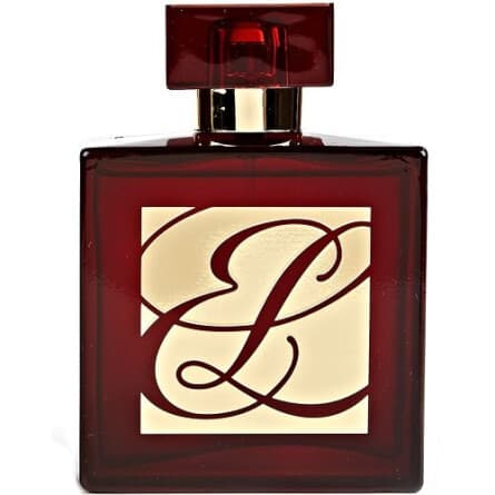 عطر ادکلن استی لودر امبر میستیک