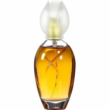عطر ادکلن کلویه نارسیس