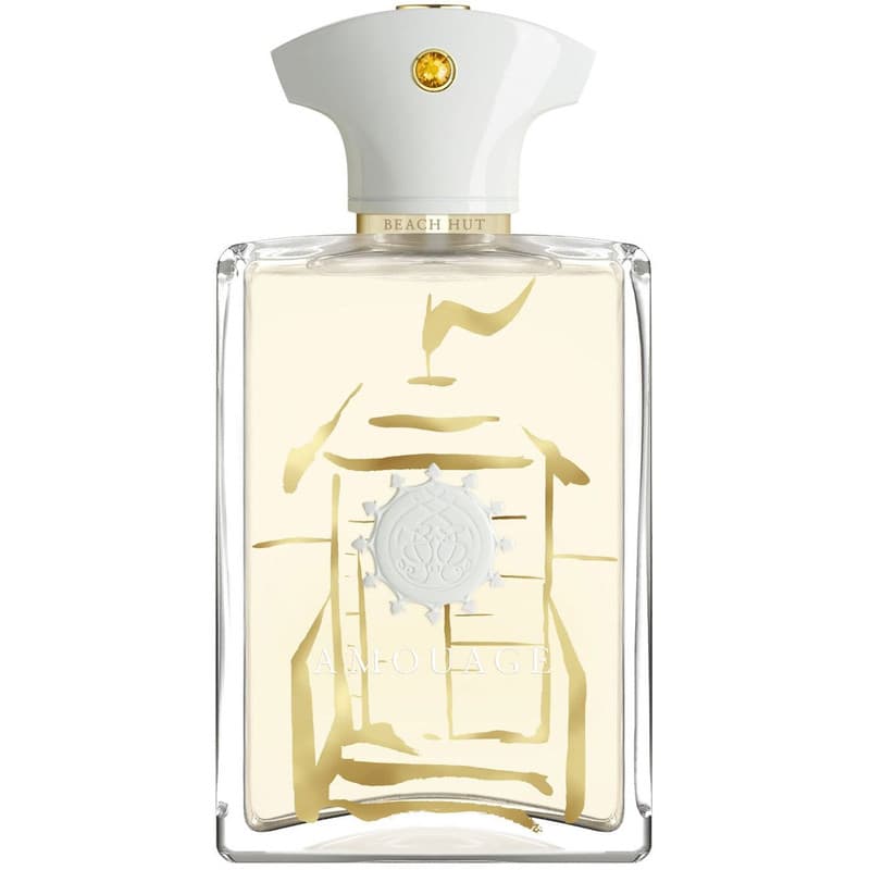 عطر ادکلن آمواج بیچ هات مردانه