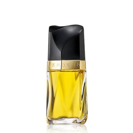 عطر ادکلن استی لودر نویینگ