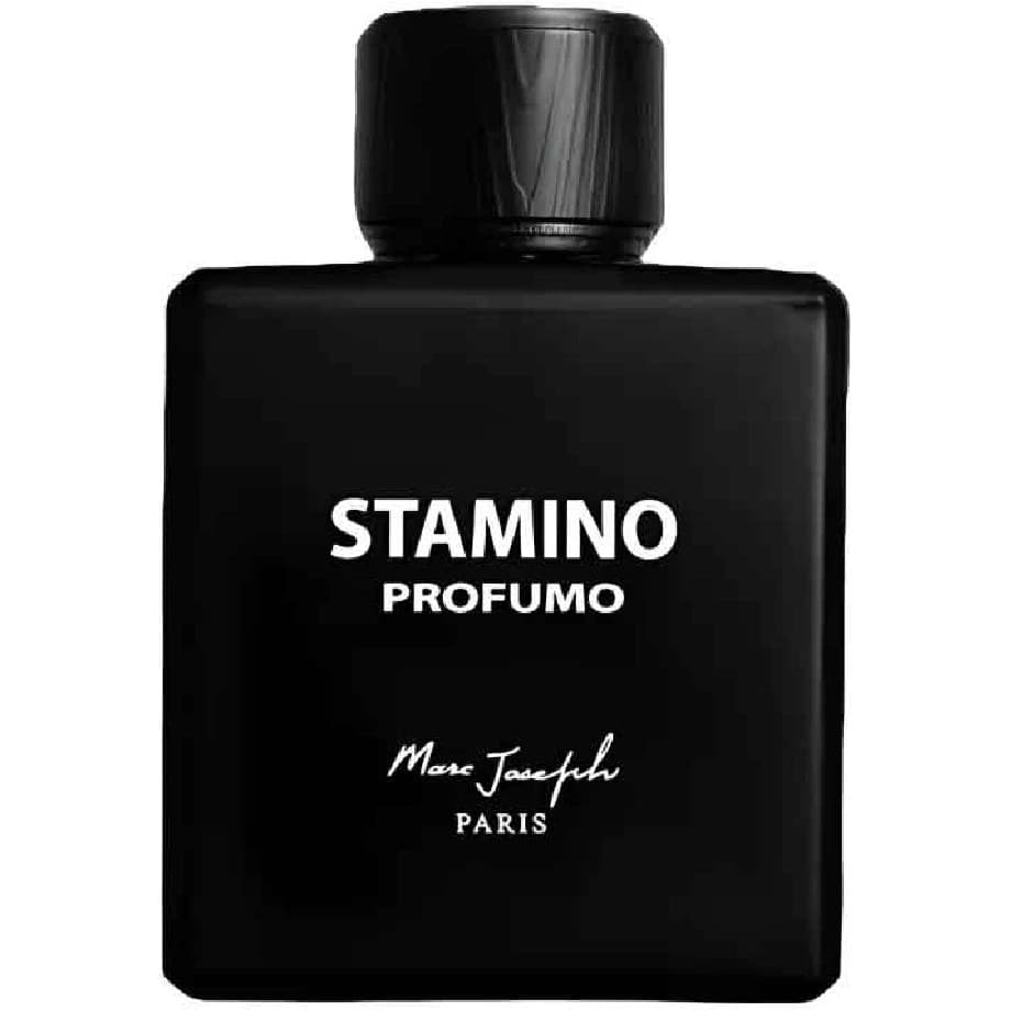 عطر ادکلن مارک جوزف استامینو پروفومو